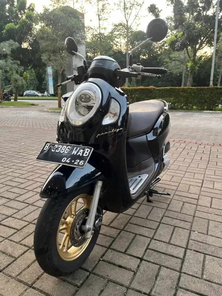 Scoopy Prestige