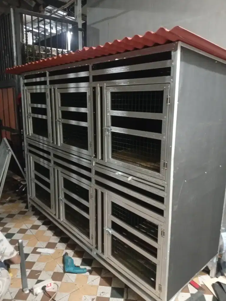 kandang ayam bangkok dll