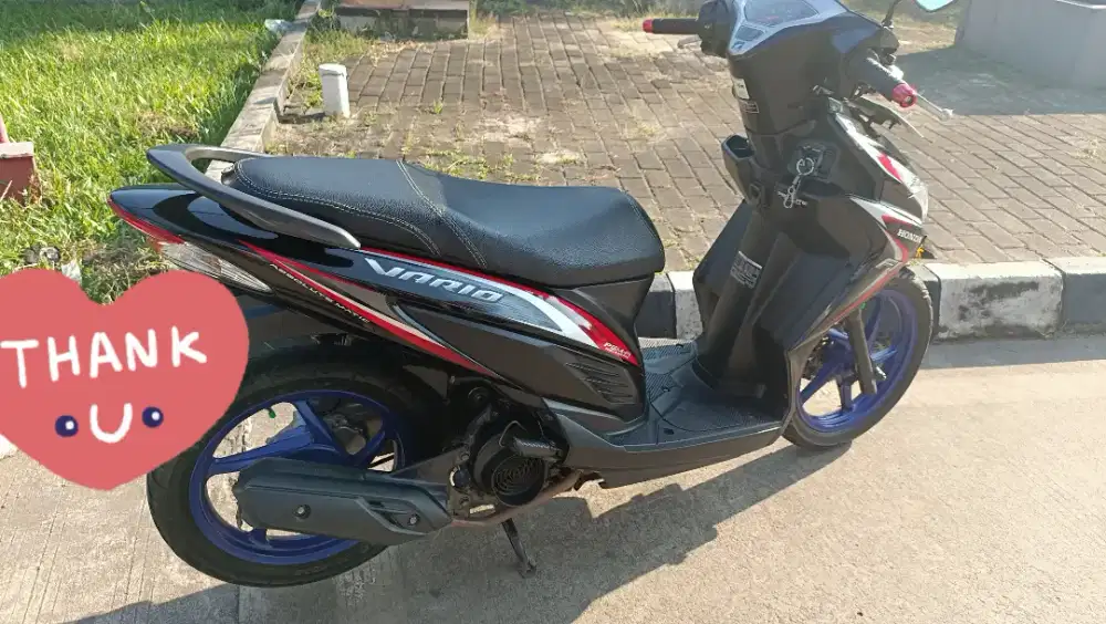 Vario 2015 fi (stater kasar)