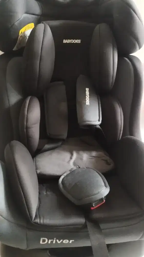 Carseat Babydoes Driver