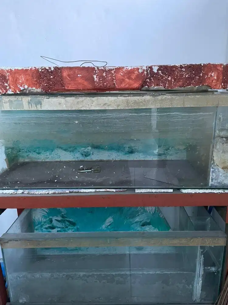 Aquarium dan mejanya