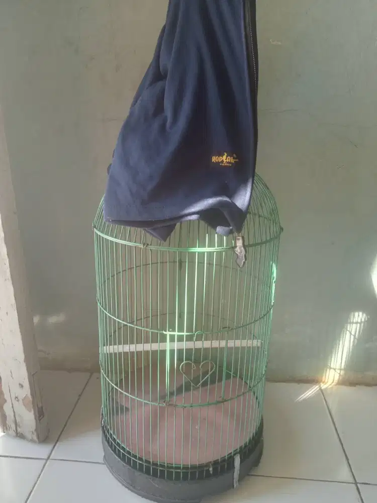 Sangkar burung Lb plus kerodong