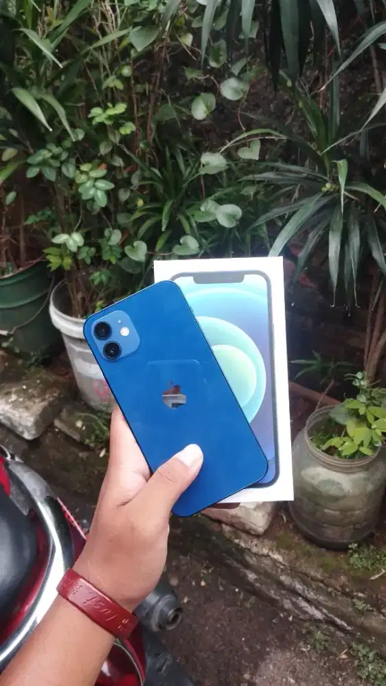 IPHONE 12 256 INTER ALLOP