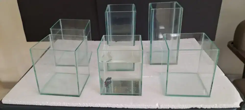 Aquarium buat ikan cupang dan sejenis