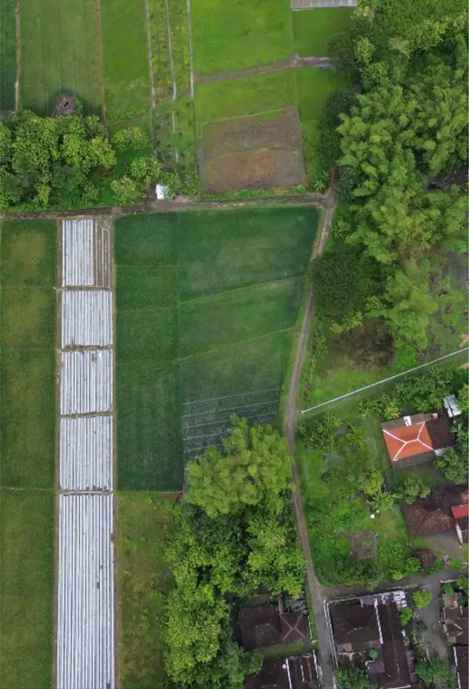 TANAH MURAH LUAS HOOK DI KRAGILAN NGUTER SUKOHARJO