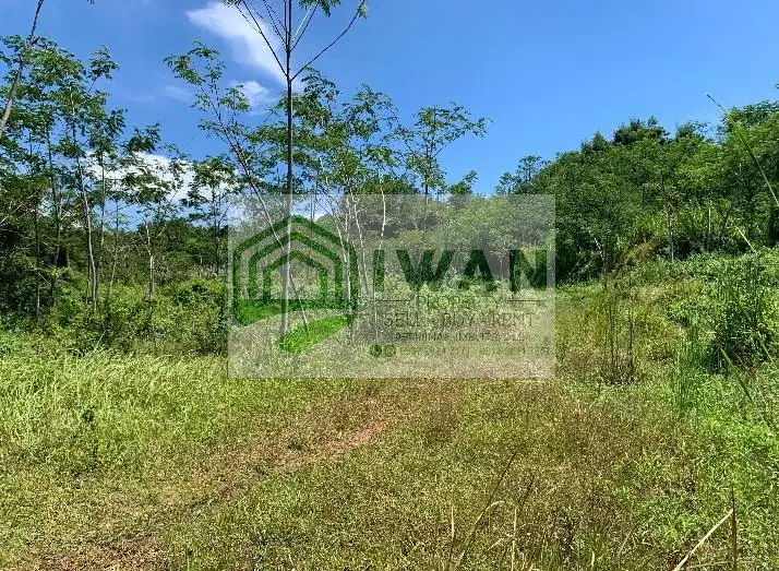 Tanah Pekarangan Luas Langka 0 KM Dari Gerbang Tol