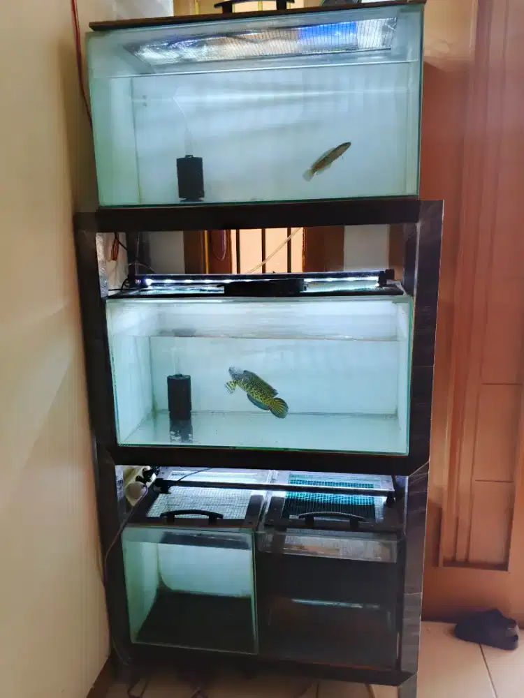 AQUARIUM FULLSET 3 TINGKAT