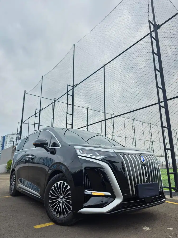 Denza D9 km 10k 2025