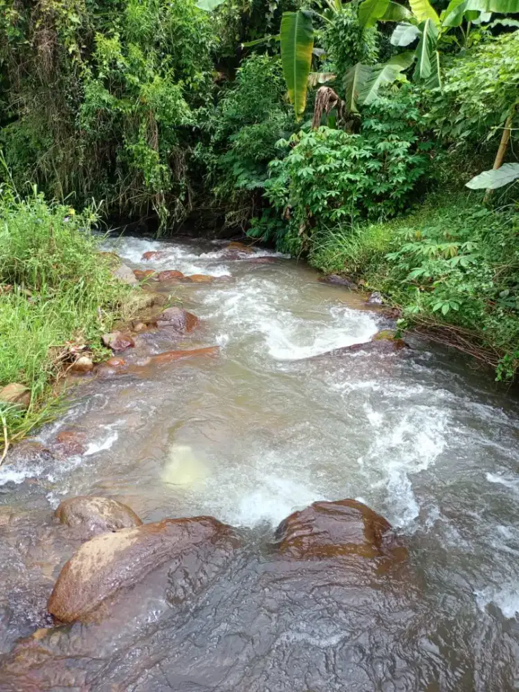 TANAH PINGGIR SUNGAI AREA CIWIDEY AKSES MOBIL