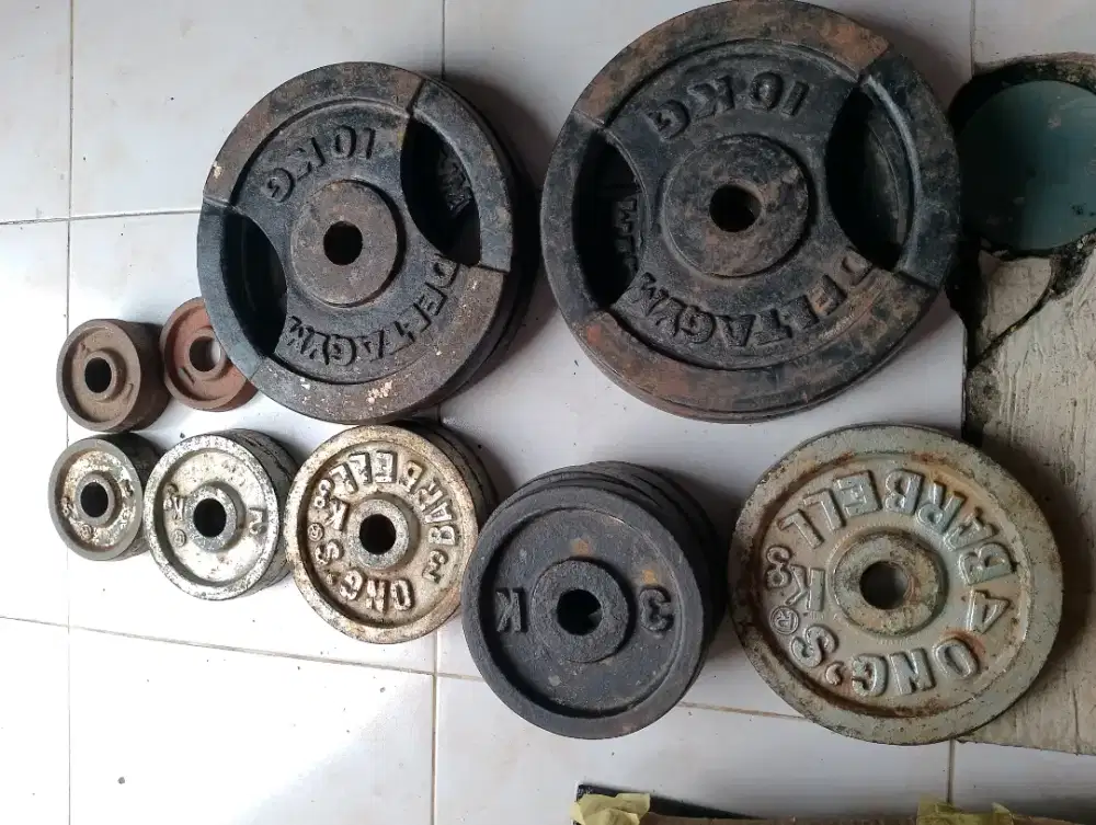 Barbel dan bangku sit up