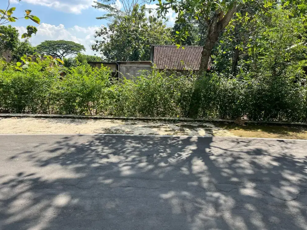 Tanah 300Jt Cocok Untuk Hunian Mojogedang