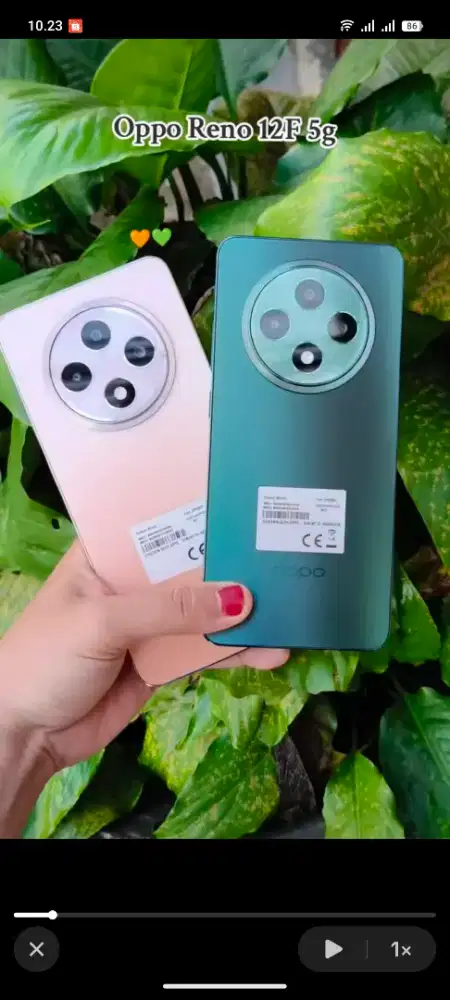 RENO 12F 12/512 Ready Warna Oranye dan Hijau saja