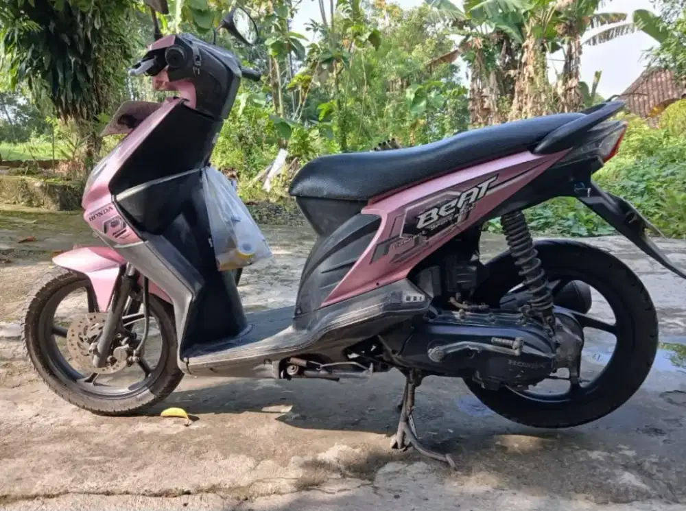 Beat karbu 2009 pink