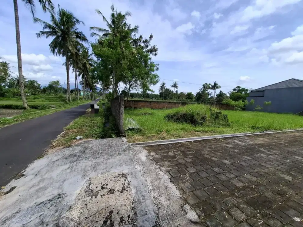 Tanah View Sawah Dalam Cluster Eksklusif Dekat Kampus UII – Cocok Villa & Kost!