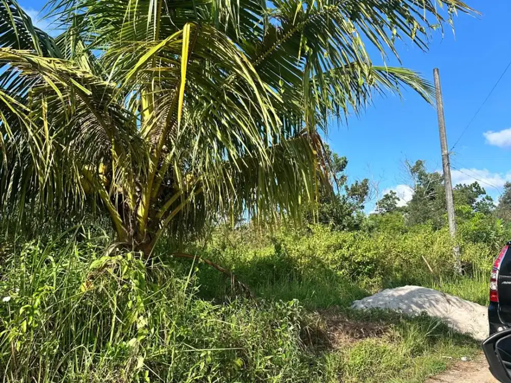 Dijual tanah cocok untuk perumahan di Selindung Pangkalpinang