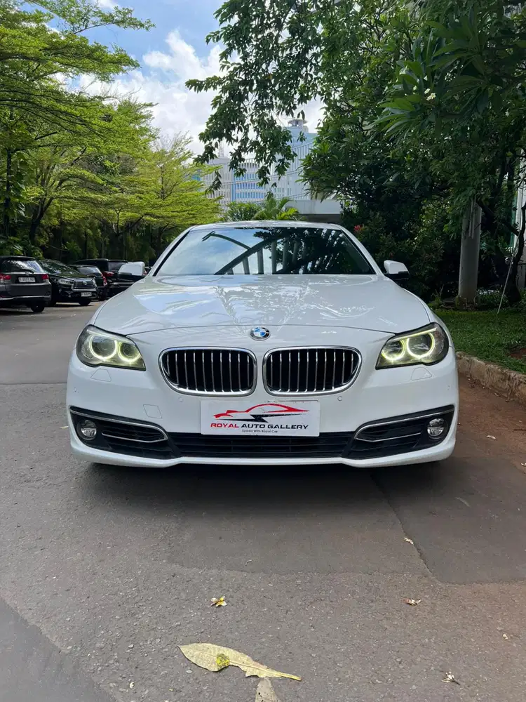 BMW 528i luxury facelift
2014
White on black