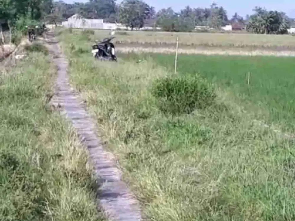 sawah Sidoluhur Godean