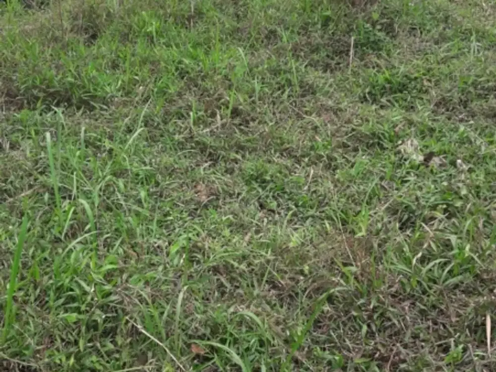 Dijual Tanah Kavling Siap Bangun di Dalam komplek perumahan bandung