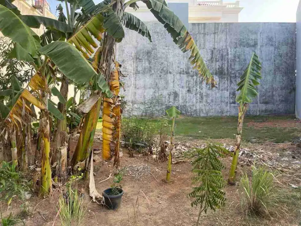 DIJUAL TANAH MURAH LOKASI PANTAI MUTIARA