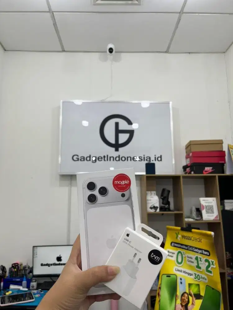 17 promax silver 256GB