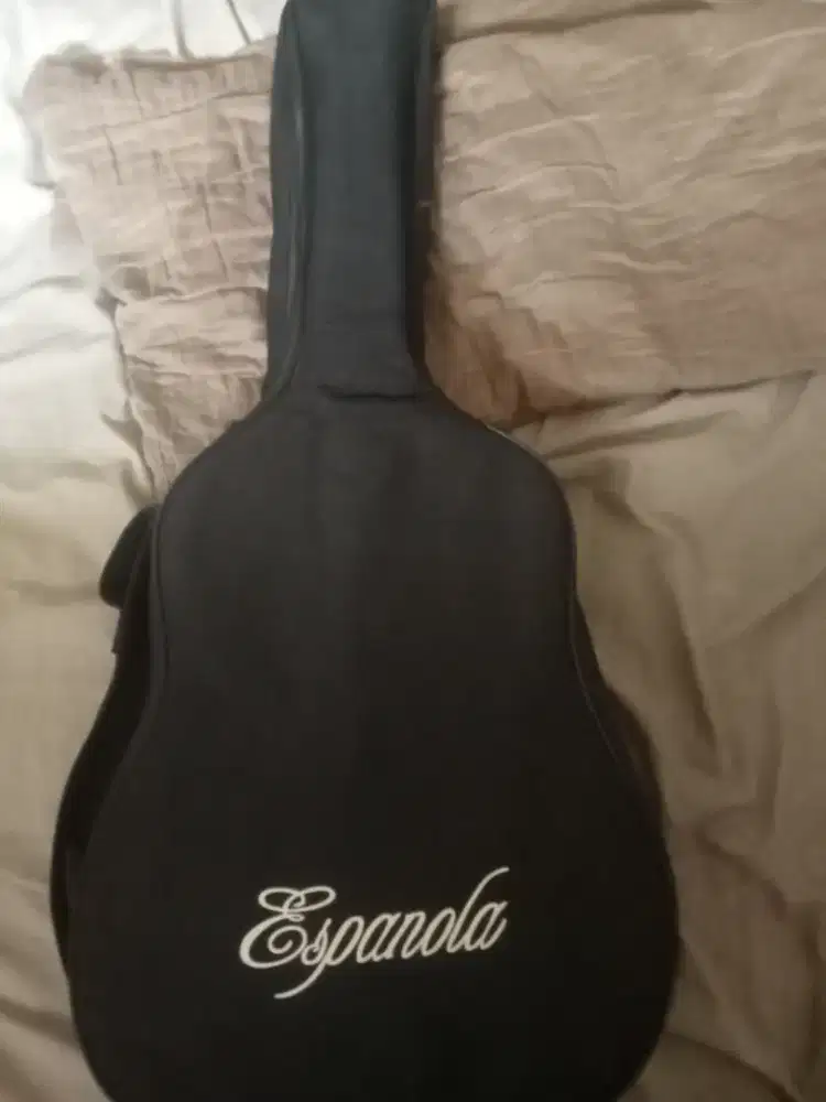 Gitar espanola bisa listrik