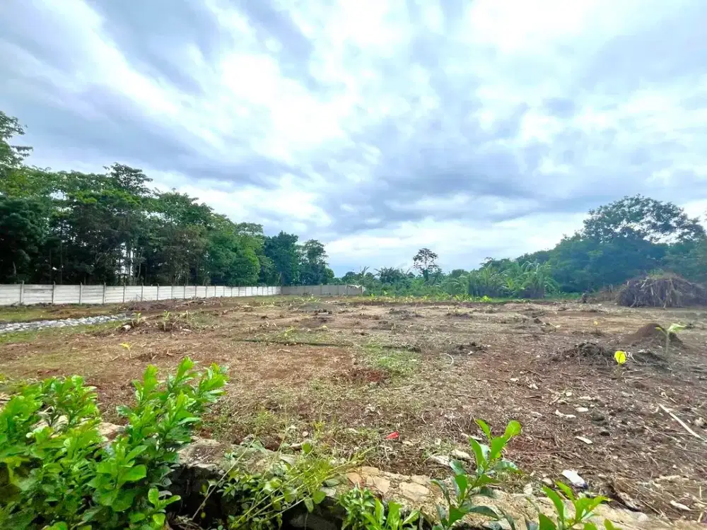 Kavling Murah Cisauk Akses Mobil, Dekat Dengan Stasiun Jakate BSD