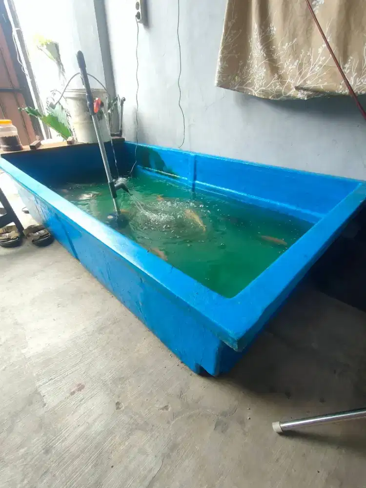 BAK FIBER KOLAM IKAN  200 X 100
