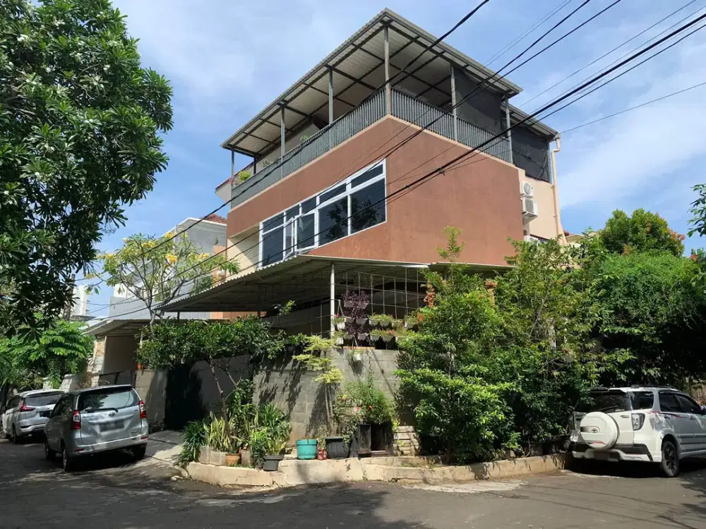 Rumah Kelapa Nias, Kelapa Gading