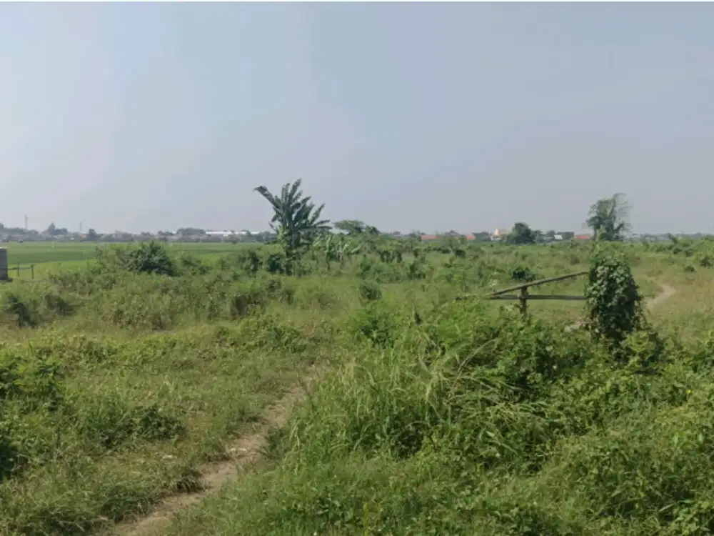 Lahan industri sudah urug 10 menit ke exit toll Pemalang