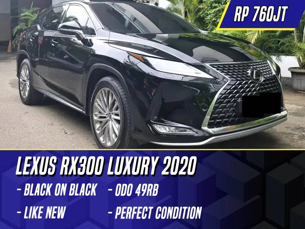 Lexus RX300 Luxury 2020 Black Hitam RX 300