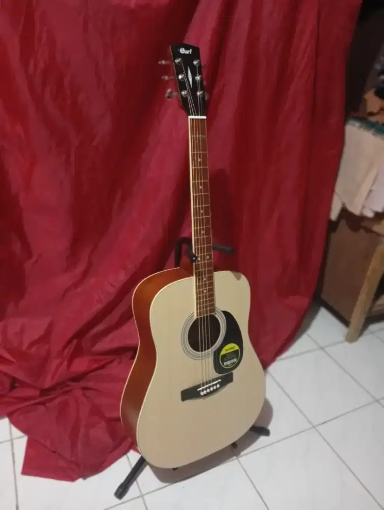 Gitar akustik jumbo cort semi