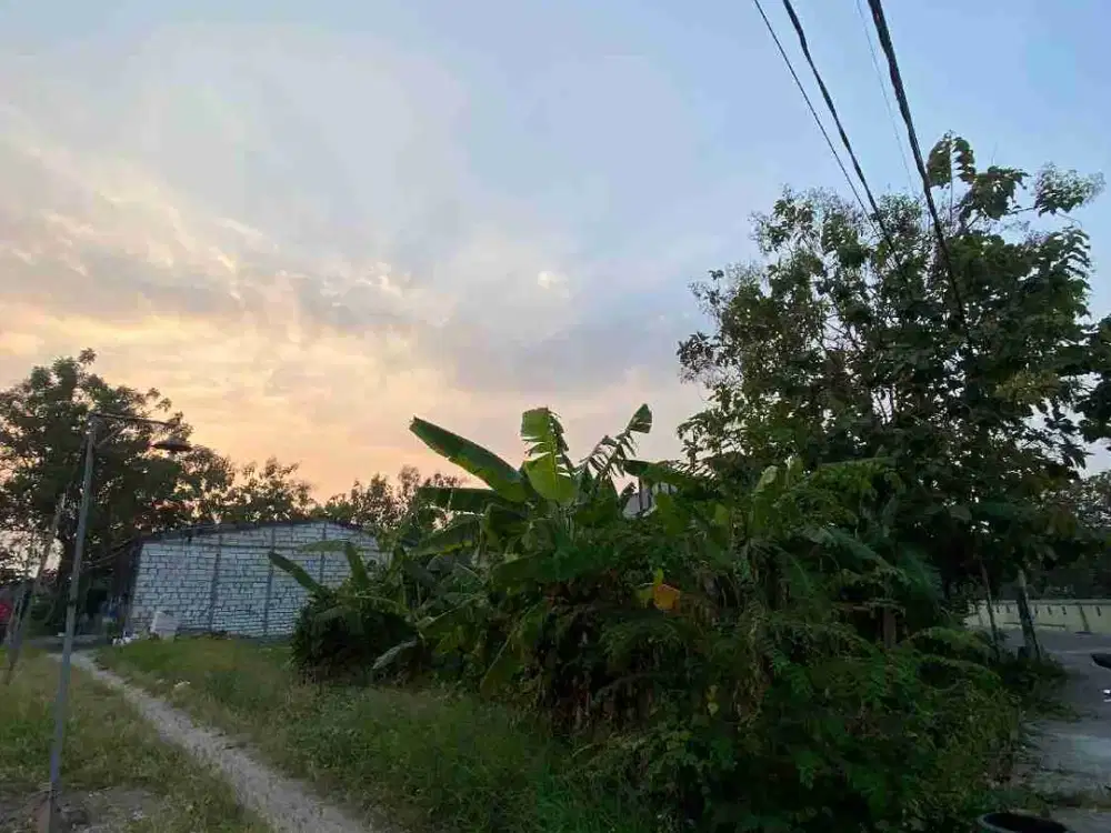 Jual tanah Kavling cerme Gresik bisa Utk Usaha, rumah