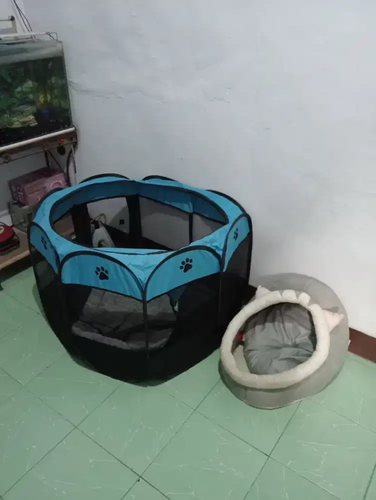 250k bawa semua kondisi ok