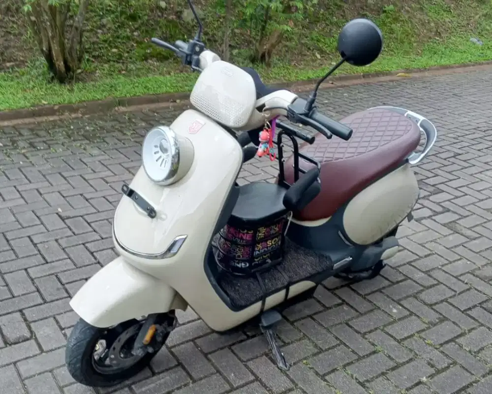 Motor listrik t80 uwinfly