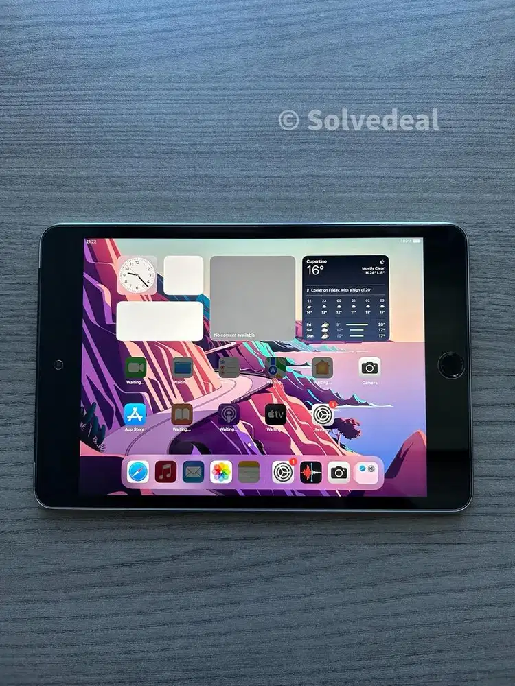 Apple Ipad Mini 4 Space Gray — Mulus Normal Bonus Case