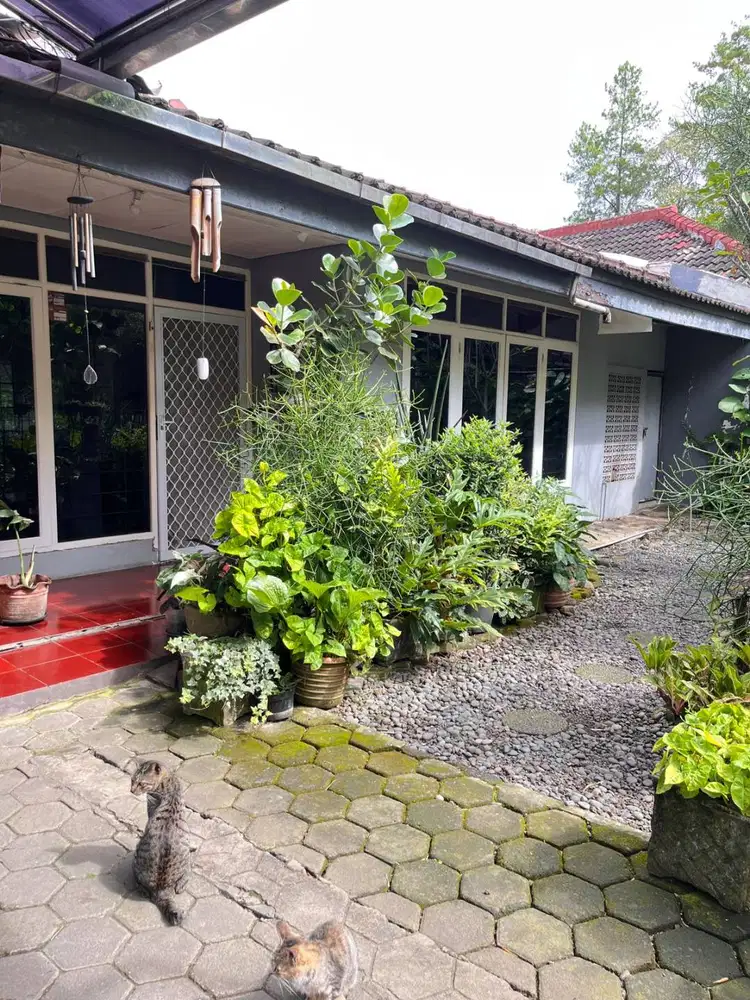 Rumah Mainroad Setiabudi Cocok untuk Villa/Cafe/Gym