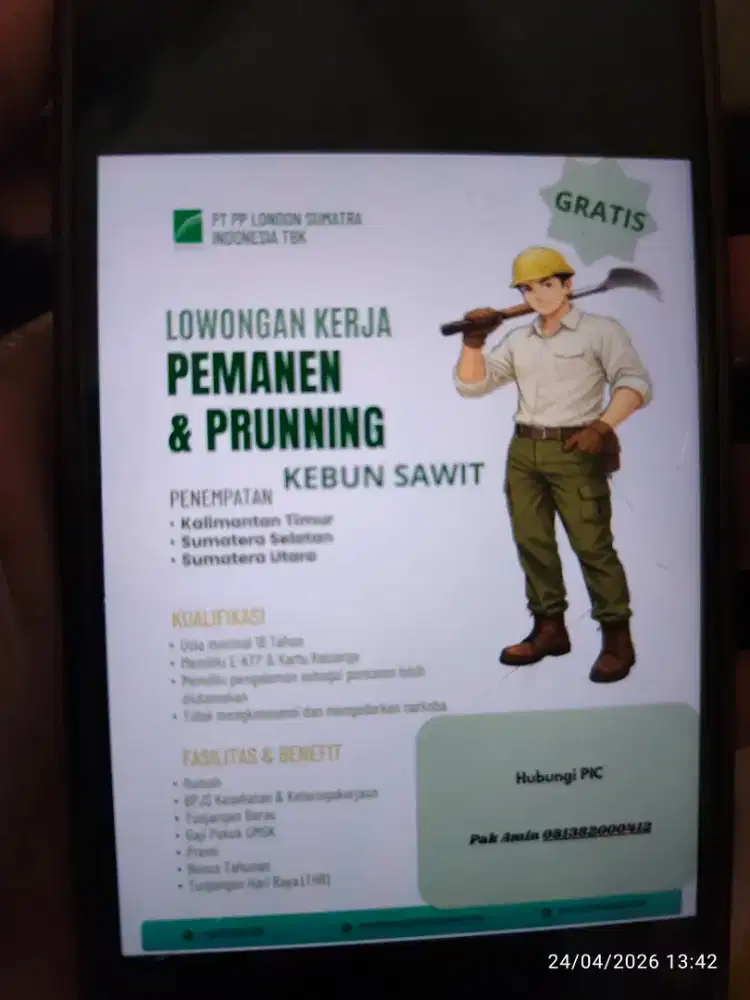 Dicari Tenaga Panen & Pruning Kebun Sawit