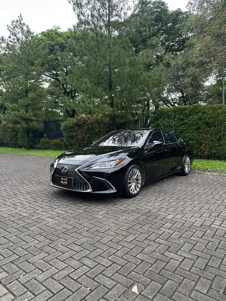 Lexus ES300h Ultra Luxury Sedan 2021