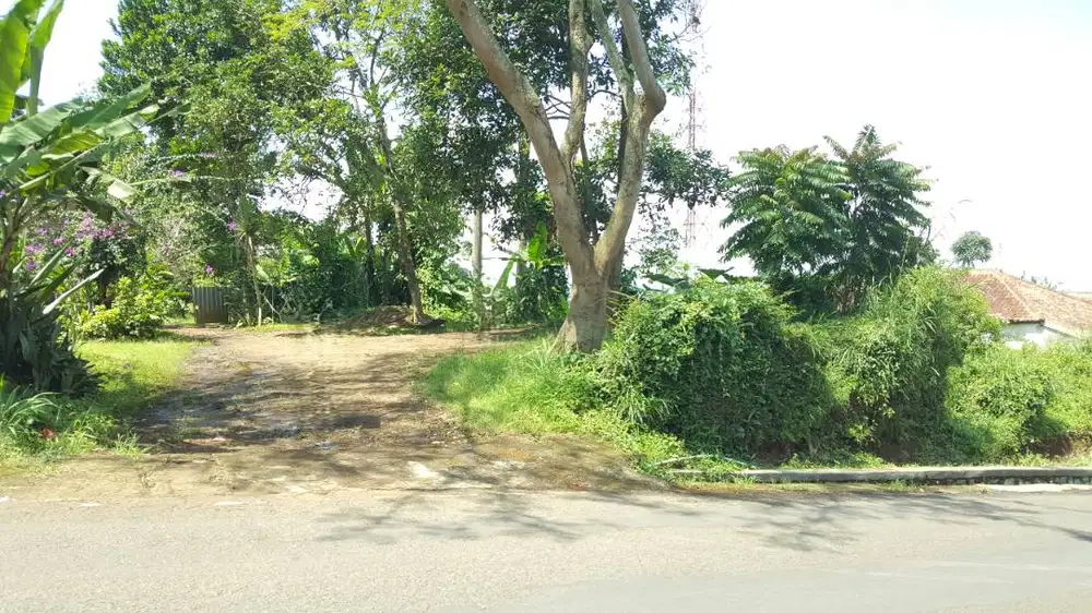 Jual Cepat Tanah Murah BU Mainroad dekat Stasiun KCIC Padalarang