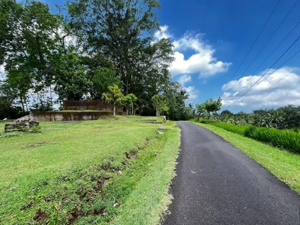 Dijual Tanah View Sawah Dan Gunung Daerah Desa Wisata Di Tabanan Bali