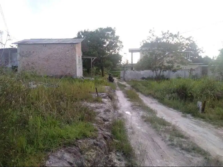 TANAH WAYHUI DEPAN KAMPUS ITERA DIJUAL MURAH BISA DICICIL