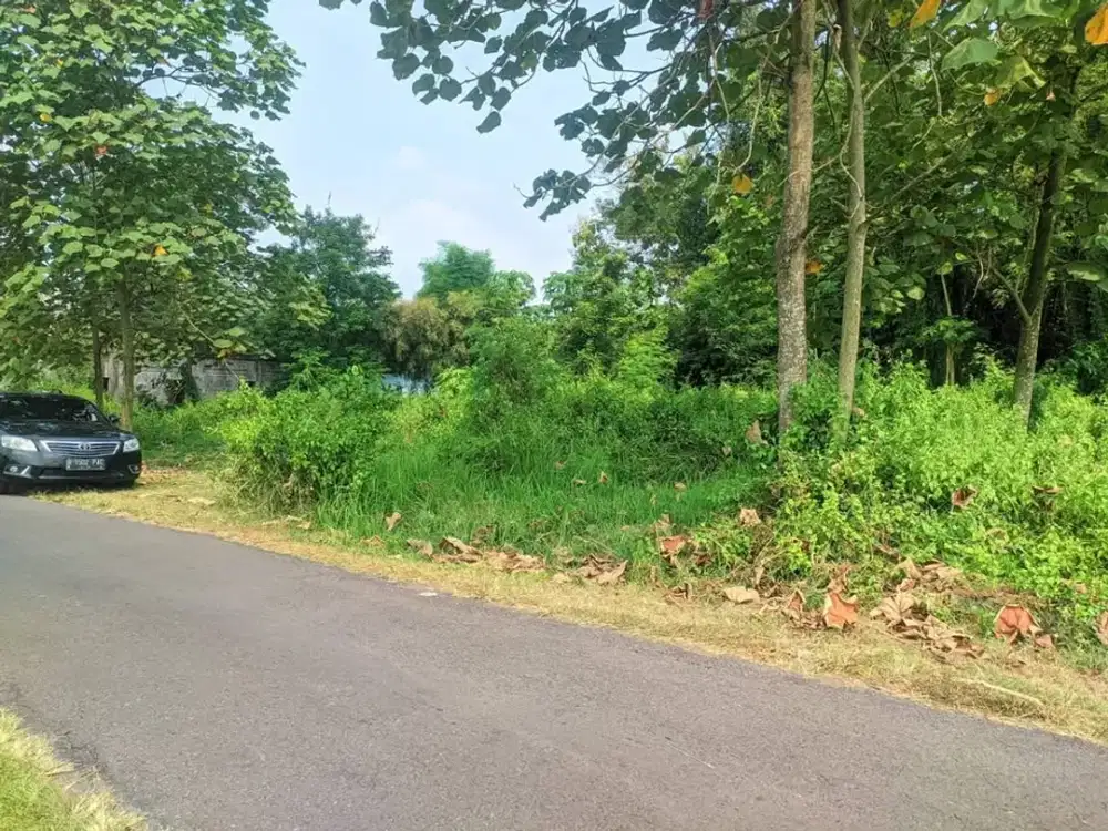 Jual Tanah puhjarak kec plemahan kediri isa sekoto