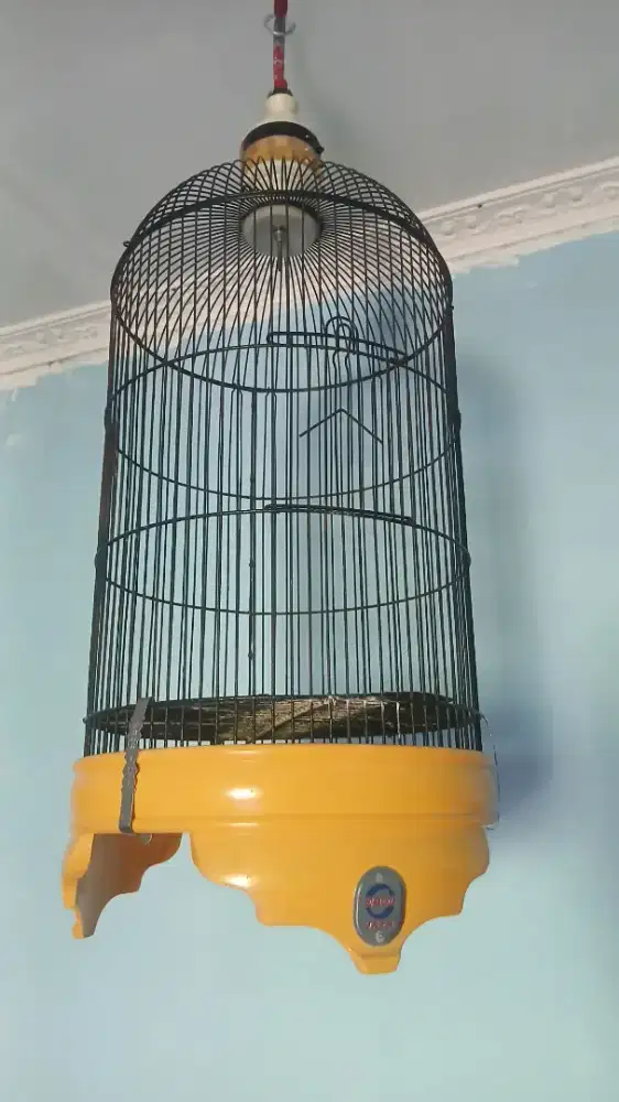 Sangkar lovebird ebod pvc