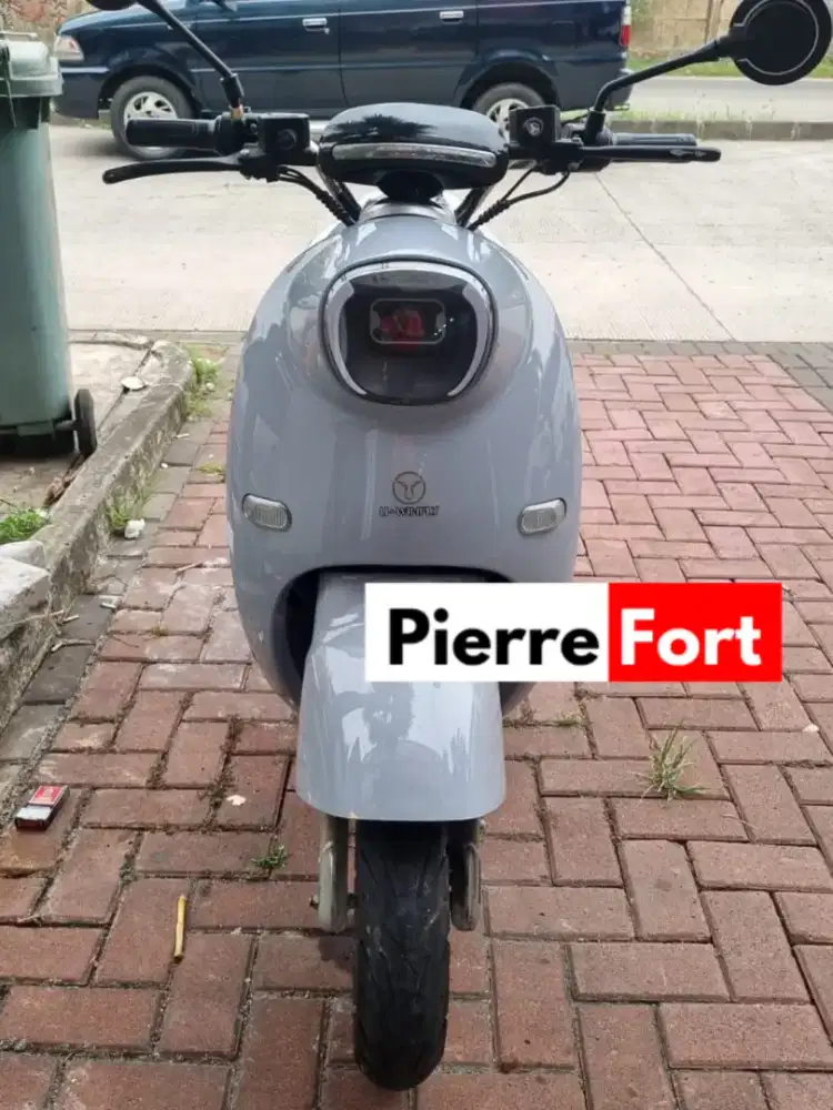 Jual motor listrik uwinfly golden turtle