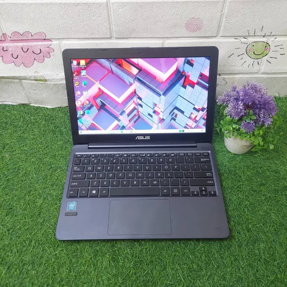 ASUS E203M INTEL CELERON N4000 RAM 2GB SSD 128GB