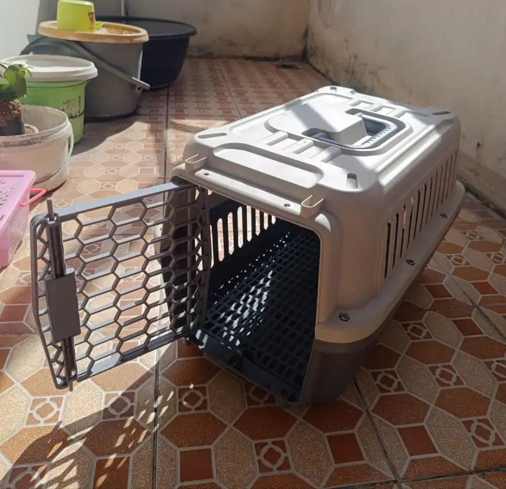 Pet cargo kucing,kelinci,anjing kondisi baru, barter hewan lain