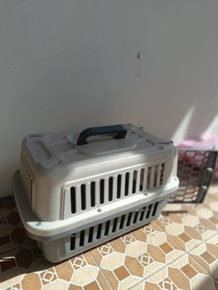 Pet cargo anjing,kucing,kelinci kondisi baru, barter hewan