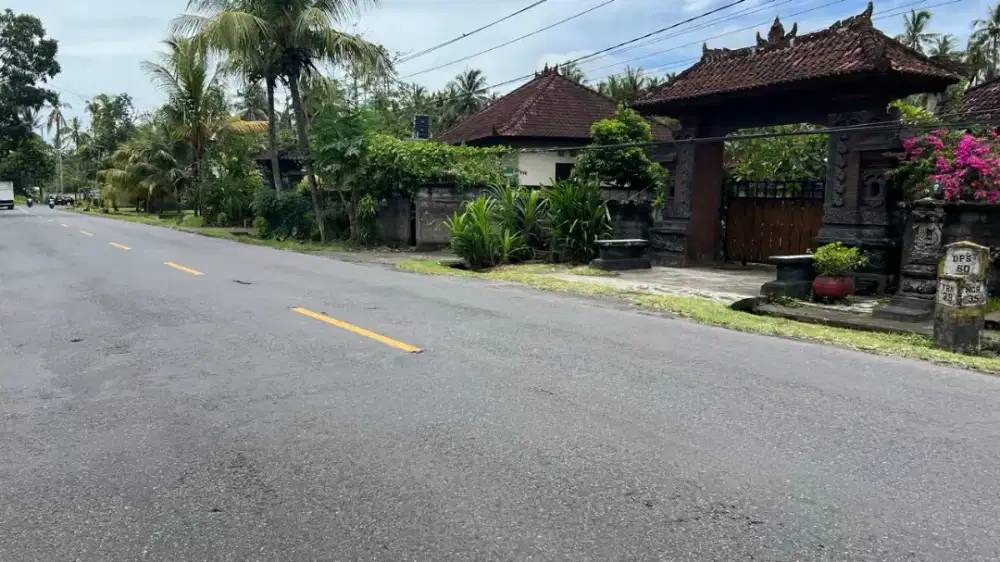 TanahLuasan Kecil Los Pantai Kawasan Villa Jembrana  Bali