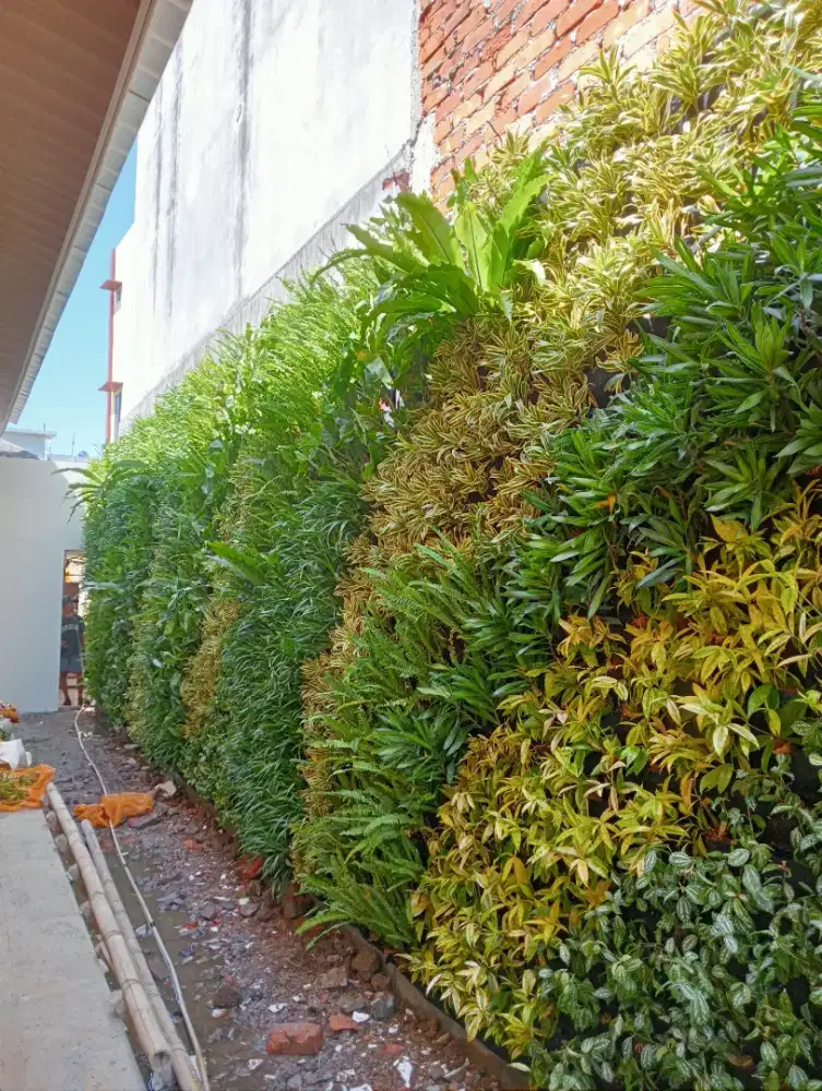 Tanaman Vertikal garden, taman dingding Vertikal garden