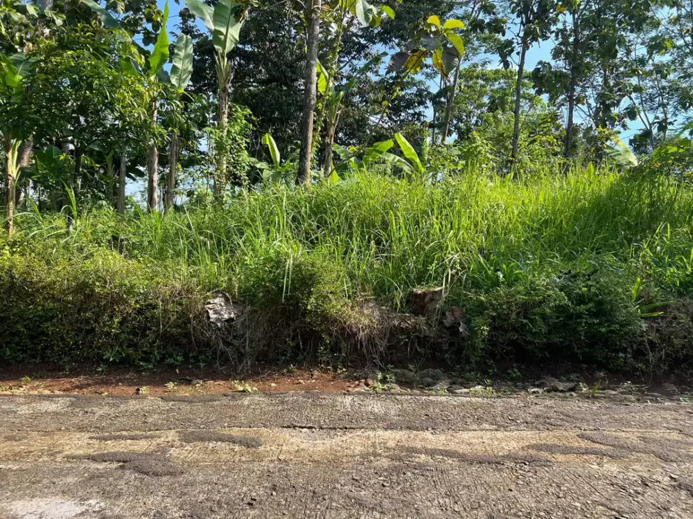 Tanah Datar Hanya 300rb/m Mojogedang, Karanganyar